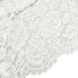 Scalloped Lace Ivory