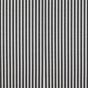 Cotton Poplin Medium Stripe Black