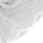 Eyelash Lace Ivory