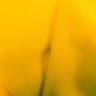 Bubble Crepe Empire Yellow