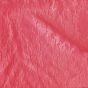 Ditsy Floral Lace Coral