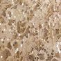 Sequin Lace Champagne