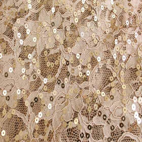 Sequin Lace Champagne